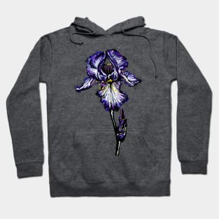 Iris Hoodie